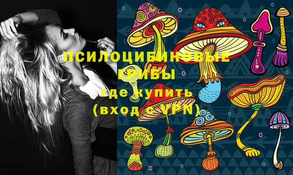 прущий лед Арсеньев